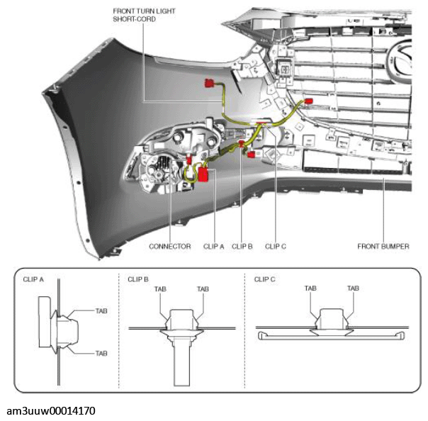 G11449524