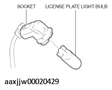G11449554