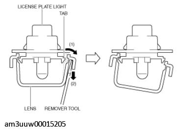 G11449556