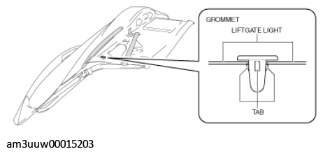 G11449572