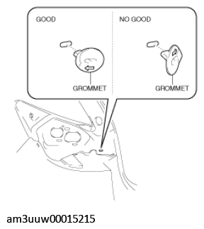 G11449592