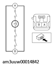 G11449635