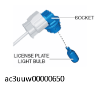 G11449731