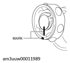 G11450421