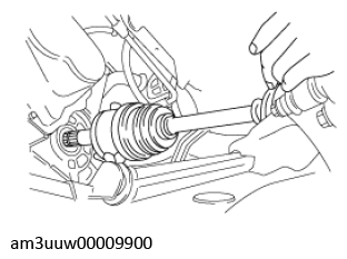 G11450494