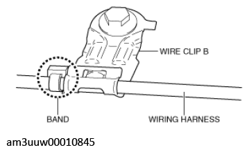 G11450574