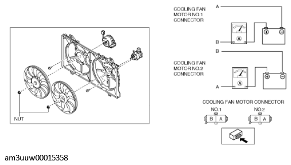 G11450666