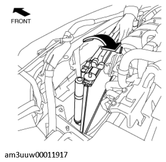 G11450692