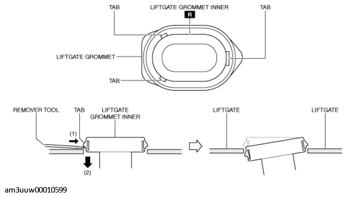 G11453048