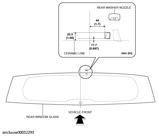 G11453051