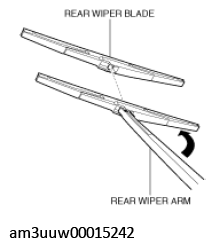 G11453060