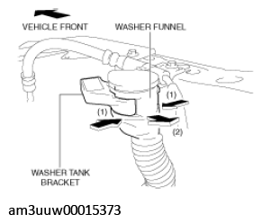G11453086