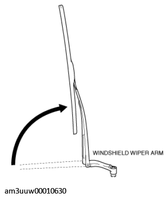 G11453101