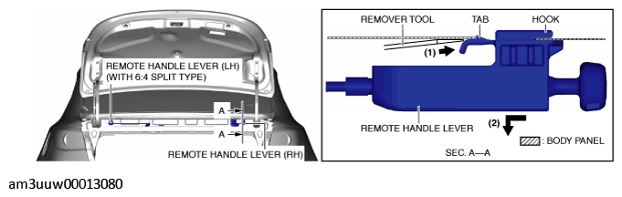 G11467608