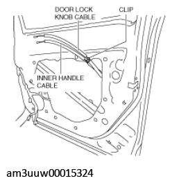 G11467661