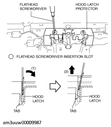 G11467714