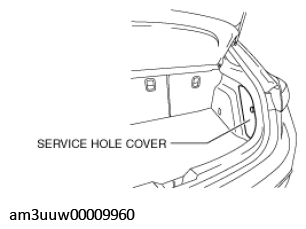 G11467834