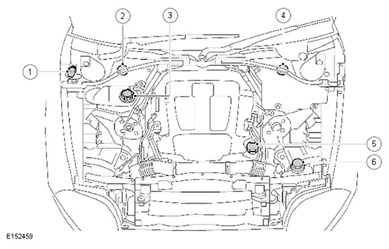 G11503872