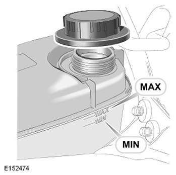 G11503877