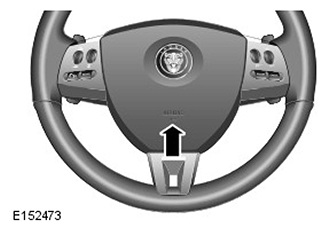 G11503881