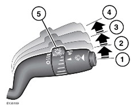 G11503882