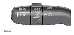 G11503886