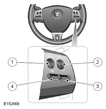 G11503913
