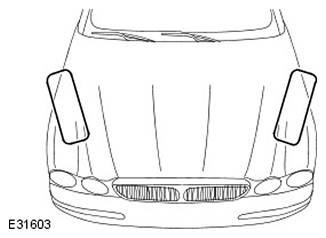 G11503948