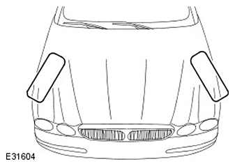 G11503949