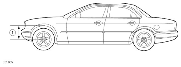 G11503950