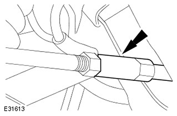 G11503961