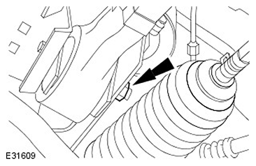 G11503965
