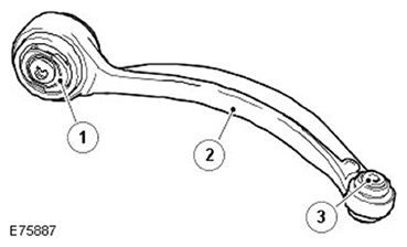 G11503983