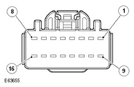 G11504228