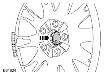 G11504269