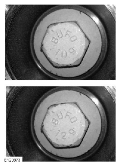 G11507887