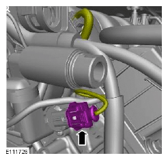 G11507964