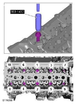 G11507982