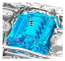 G11508568