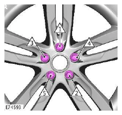 G11511284
