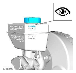 G11511309