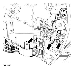 G11512116