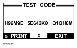 G11516146
