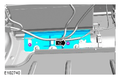 G11516169