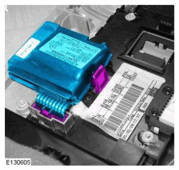 G11524450