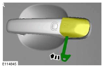 G11524480