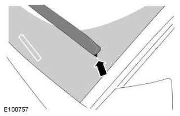 G11524556