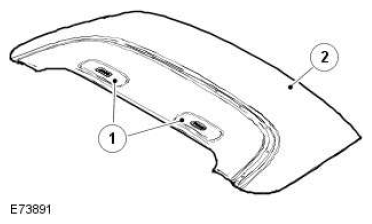 G11524570