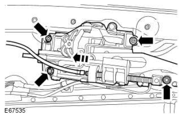 G11524629