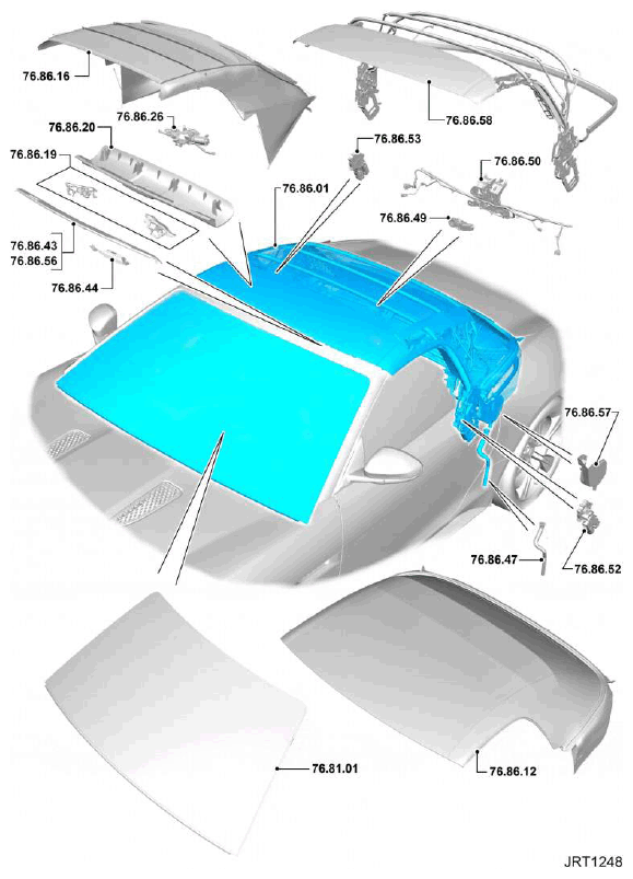 G11524691